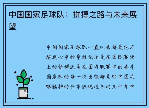 中国国家足球队：拼搏之路与未来展望