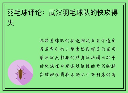 羽毛球评论：武汉羽毛球队的快攻得失