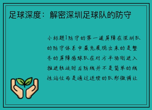足球深度：解密深圳足球队的防守