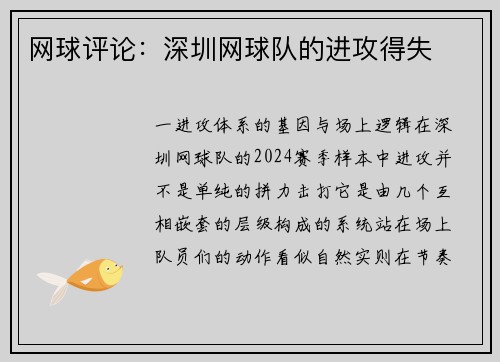 网球评论：深圳网球队的进攻得失